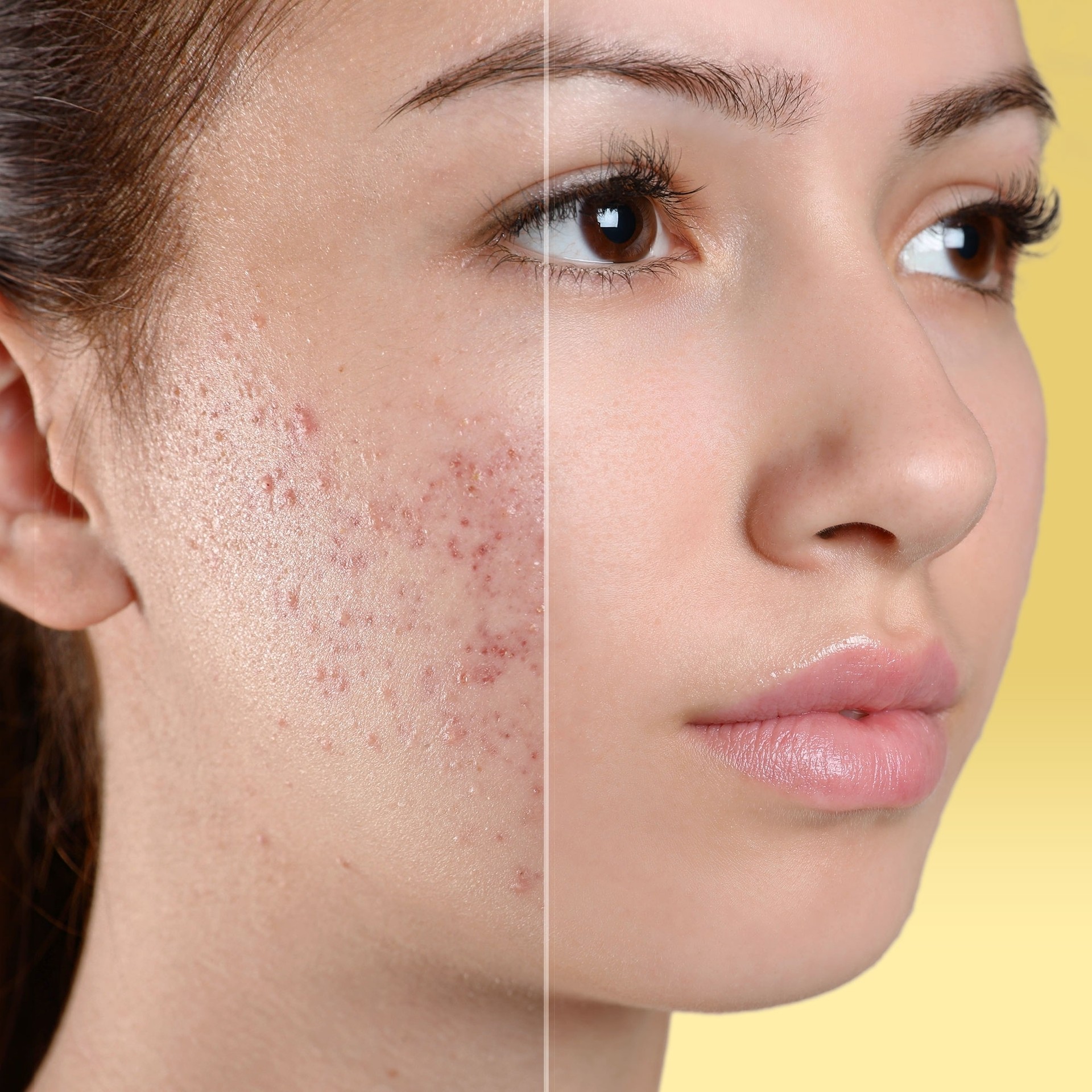 cfd19eb2-0cb1-4a6c-a34c-58737009bfe4